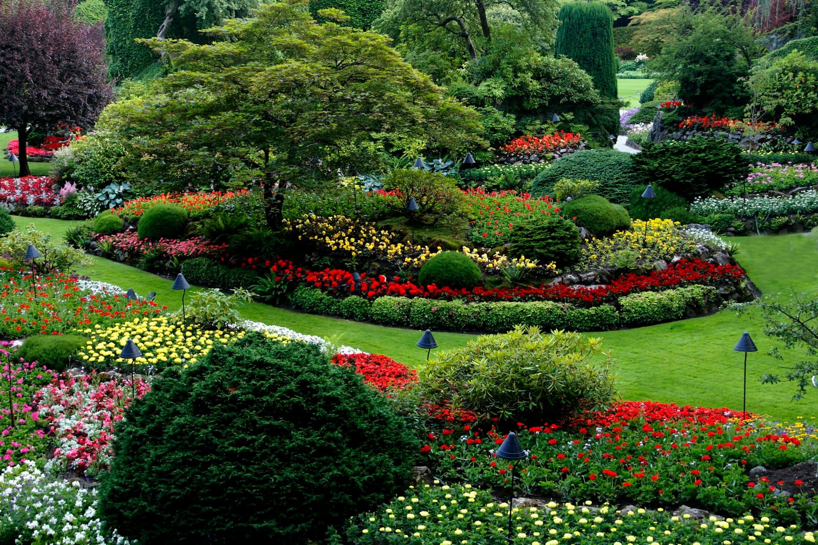 Lush landscaped garden with colorful flower beds and shaped shrubs